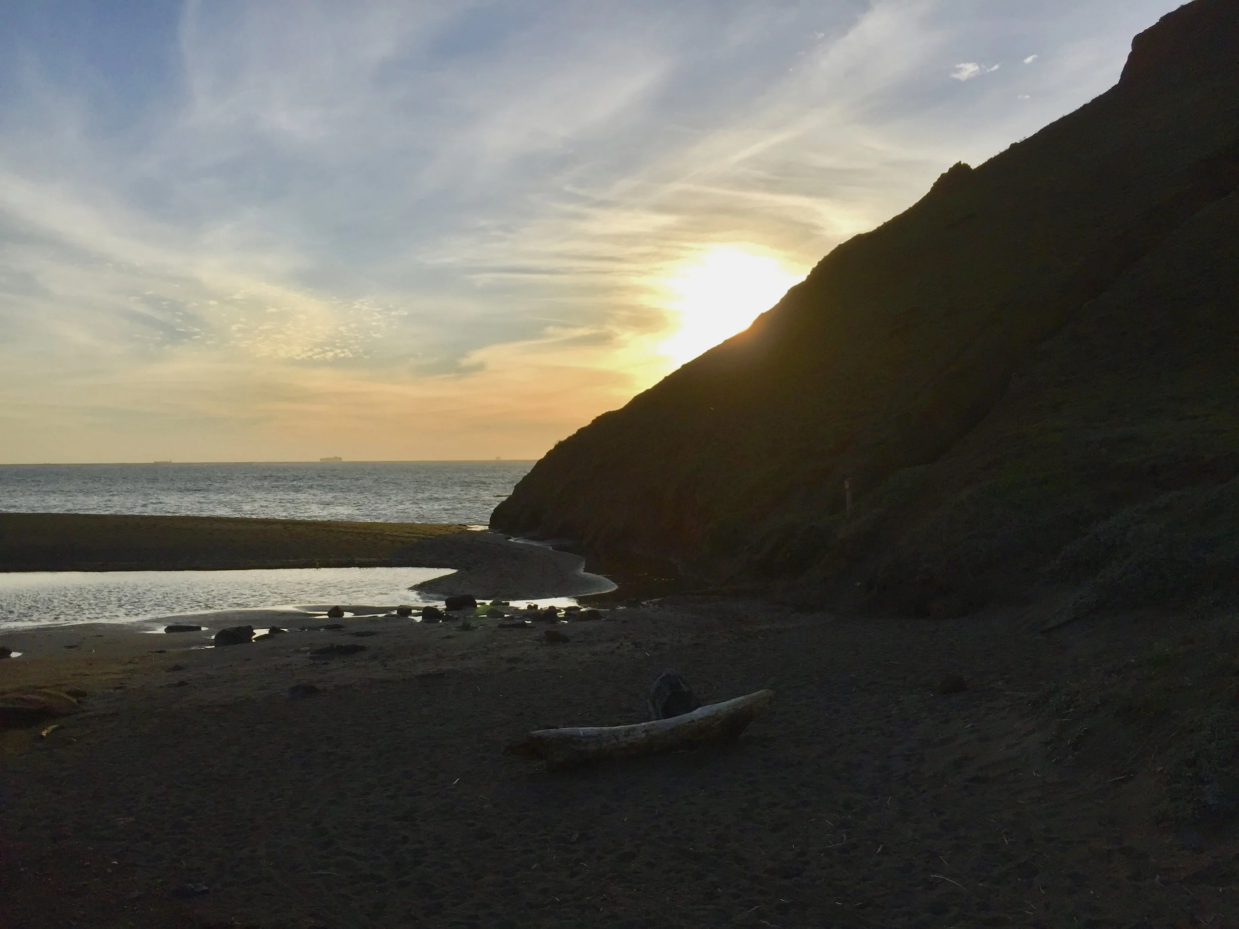 September Williams, MD Author of Chasing Mercury Works on the Chasing Mercury Toxic Trilogy Walking at Tennessee Valley Cove Near Sunset
