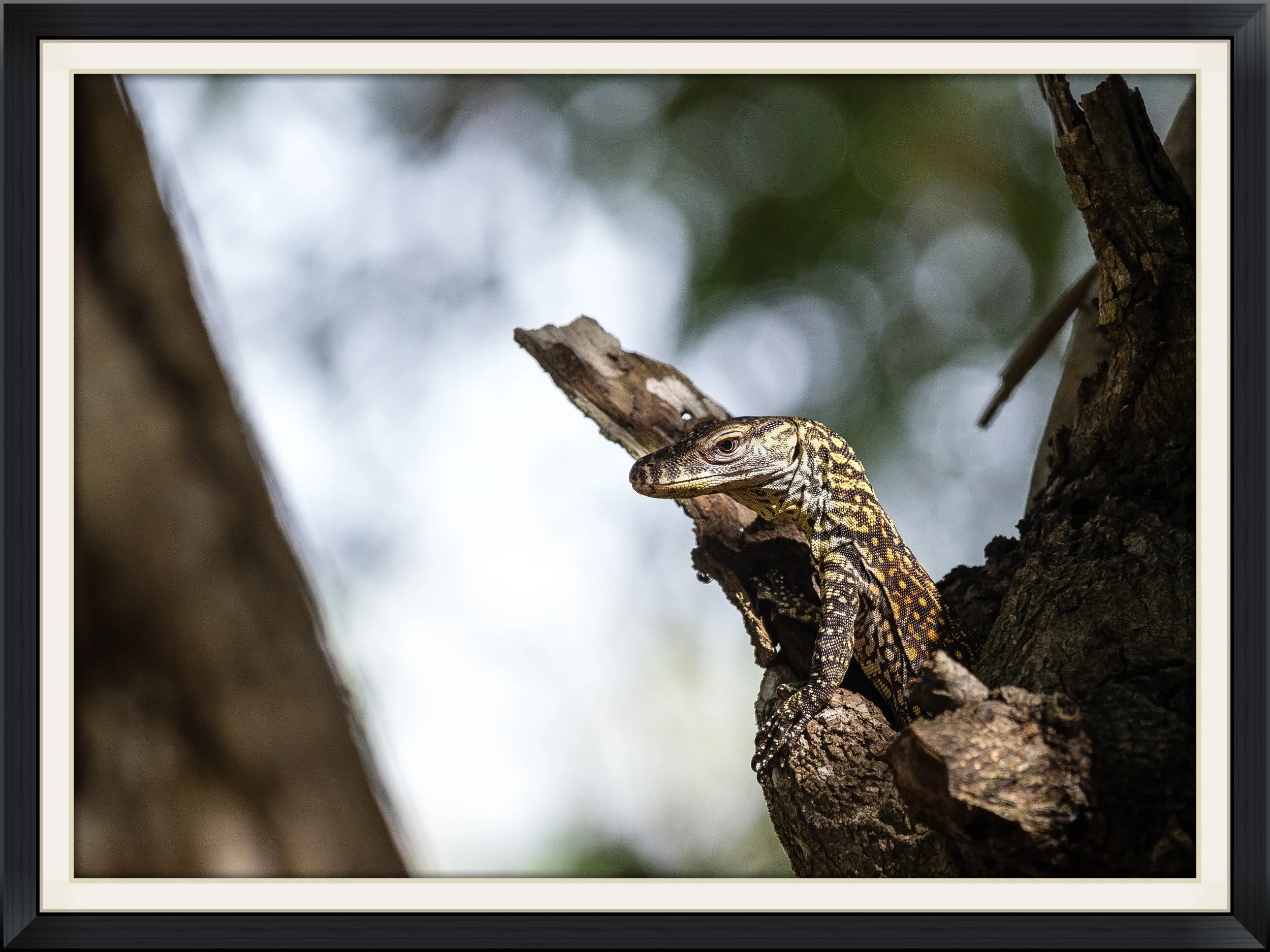 NewGuinea-8811-2.jpg