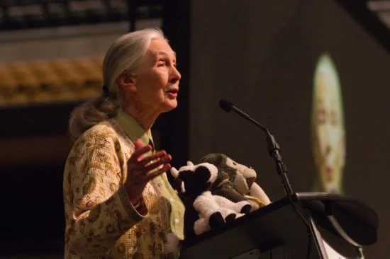 Jane Goodall: 8 Reasons She’s Mother Nature’s Favorite Mother