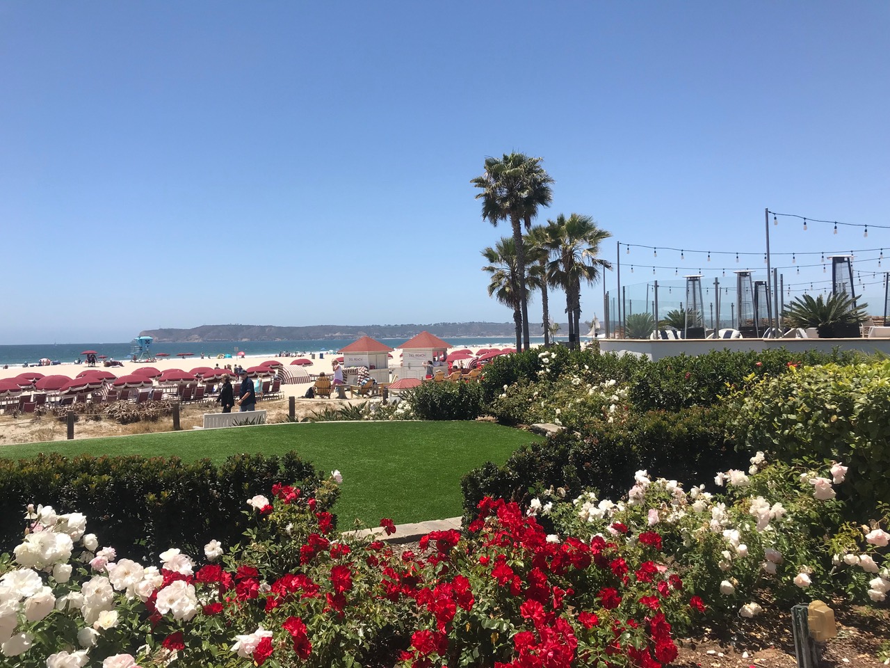 IMG_8060.jpeg
