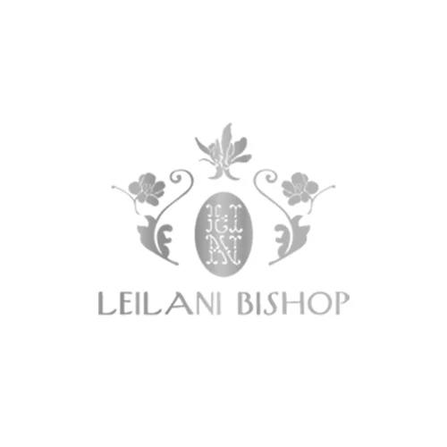 dv-clients_0004_Layer Comp 5.jpg