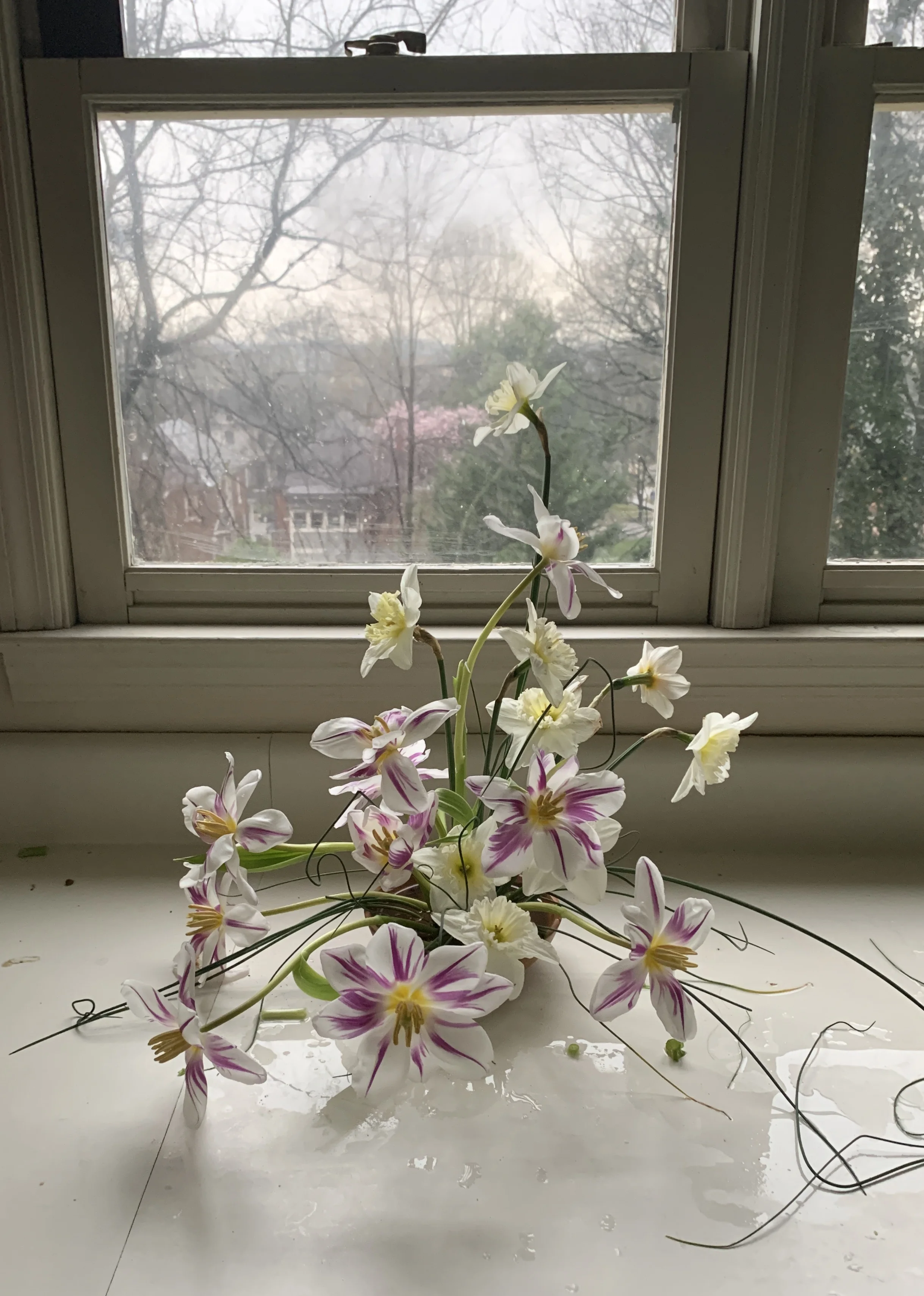 flower1.jpg