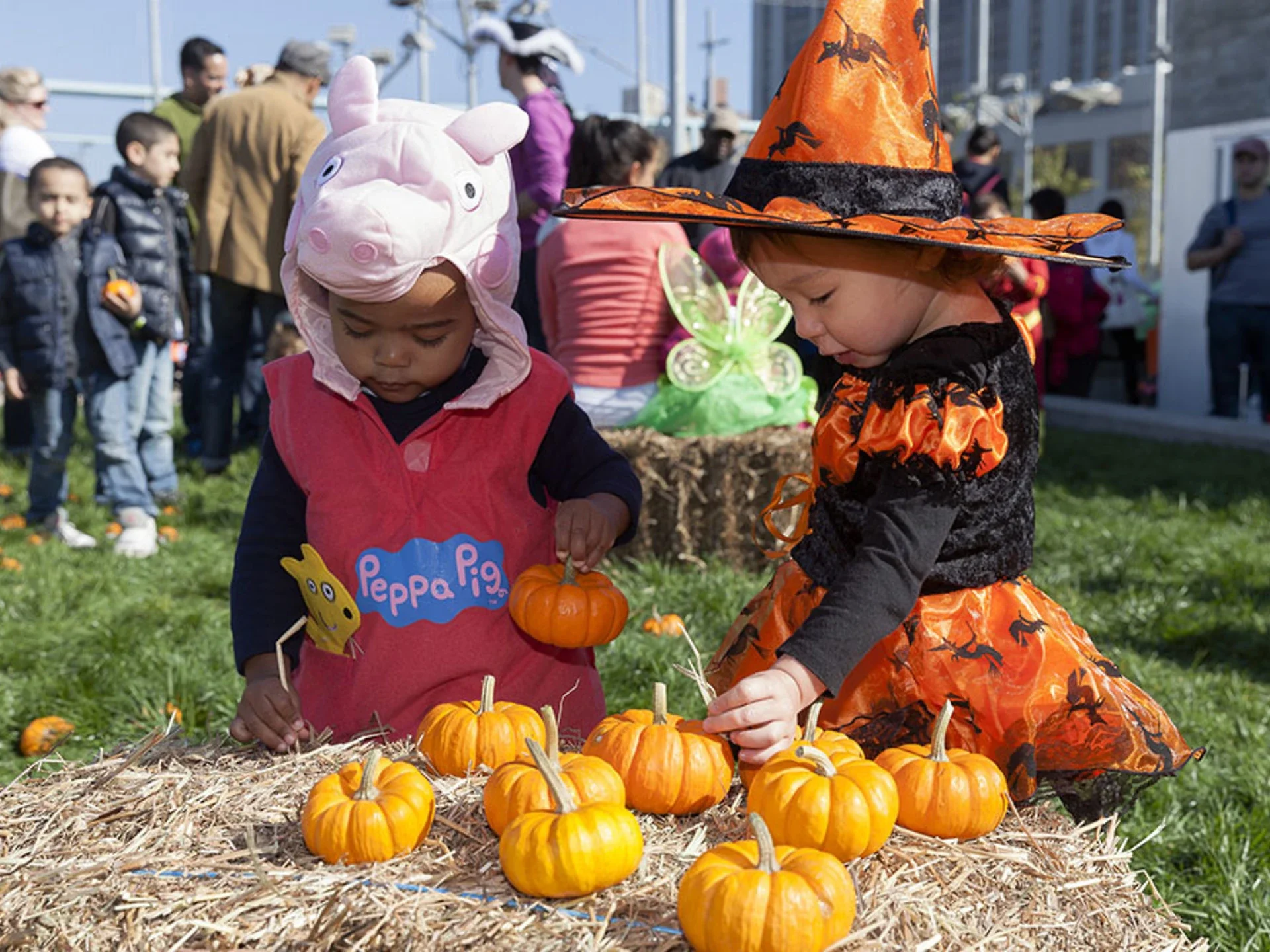 The Best Harvest Festivals for Families in NYC