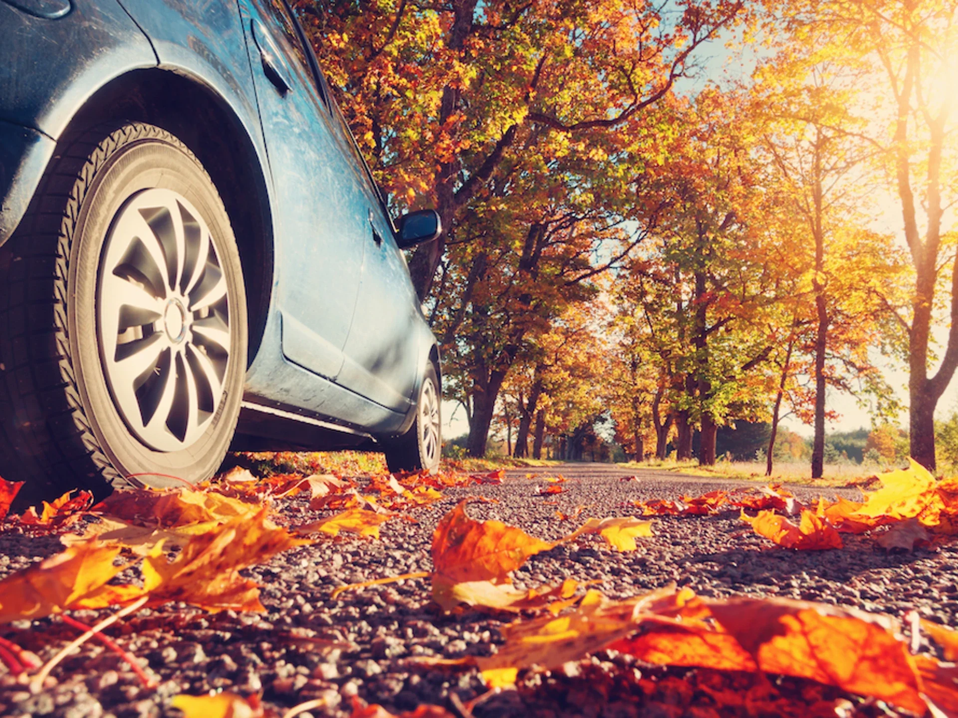 Best Day Trips from NYC in the Fall for Families