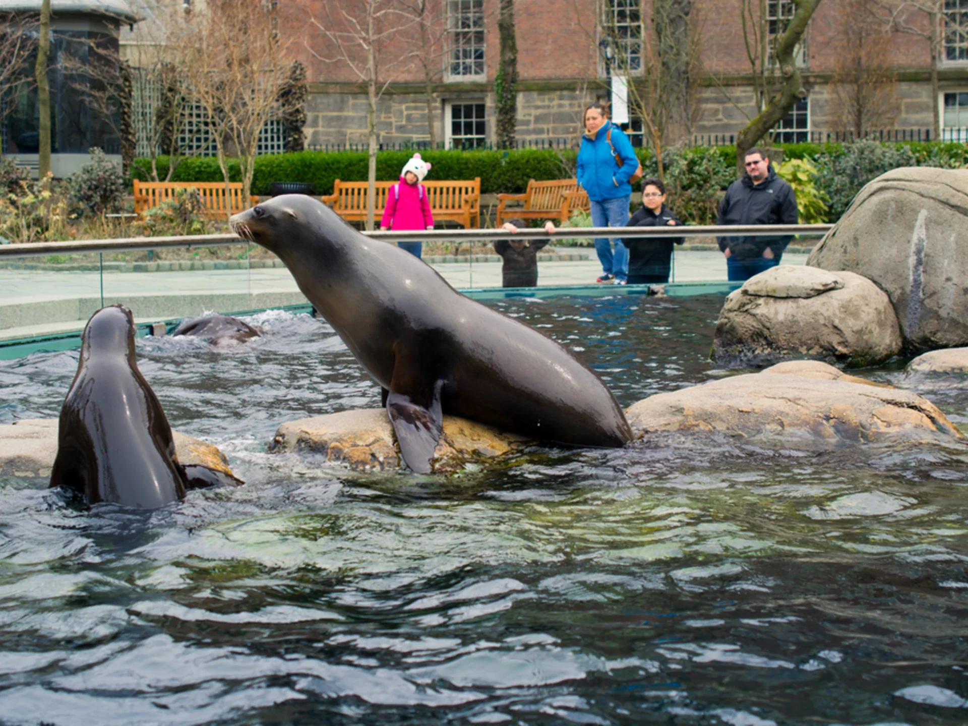 The Best Fun Places for Kids in NYC