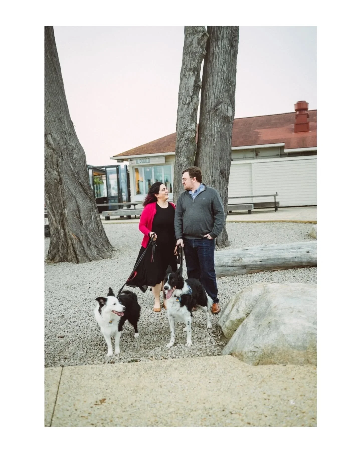 🐾 Annie &amp; Wesley 🐾 enjoying the Presidio, and their humans too 😅.