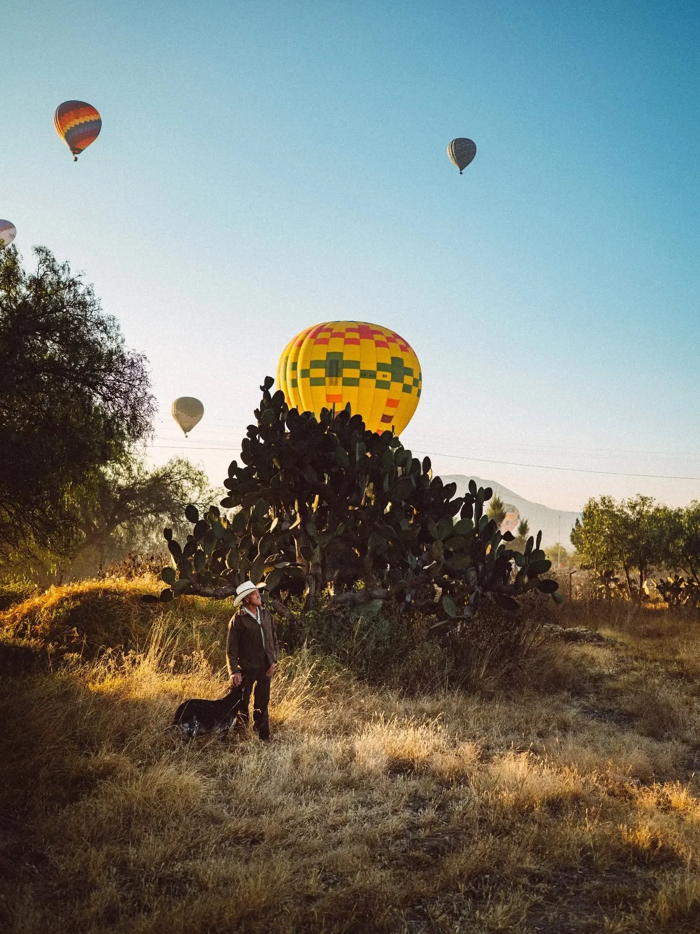 Taken from the hot air balloon ride, just minutes before we landed.

#mexicocity #teotihuacan #hotairballoon #travelingtheworld #travelwithkids #travelphotography #travelingram #nikonphotography #tinyatlasquarterly #nationalgeographic #oneearthmagazi