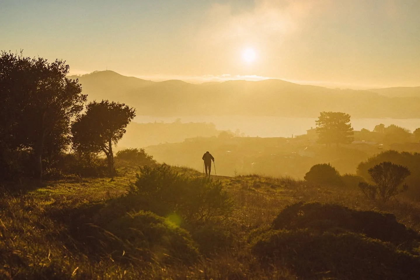 Winter light

#oneearthmagazine #voyagevoyage #mytinyatlas thecoastdispatch