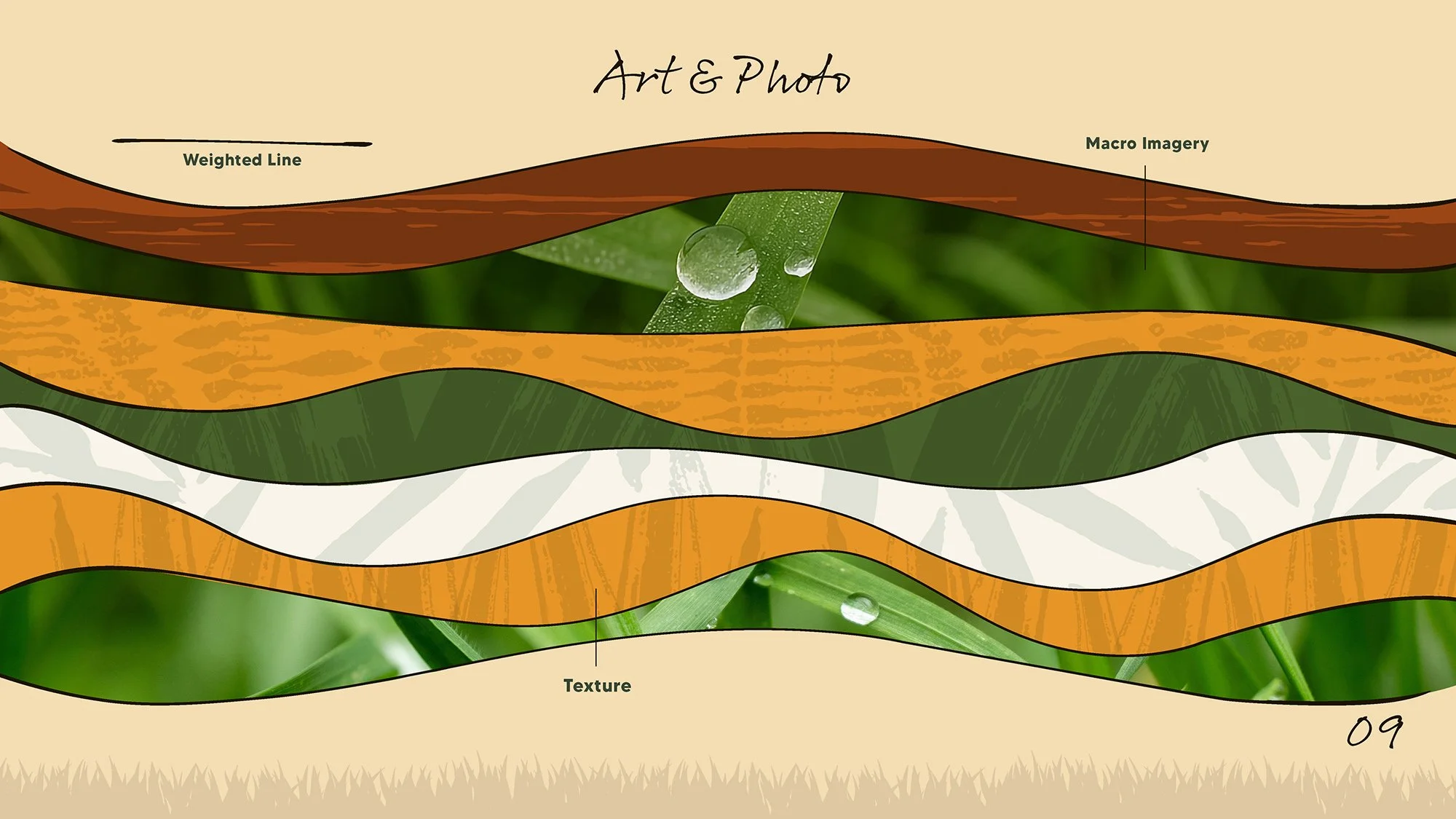 AgriScape Sod Service_Brand Identity_Page_09.jpg