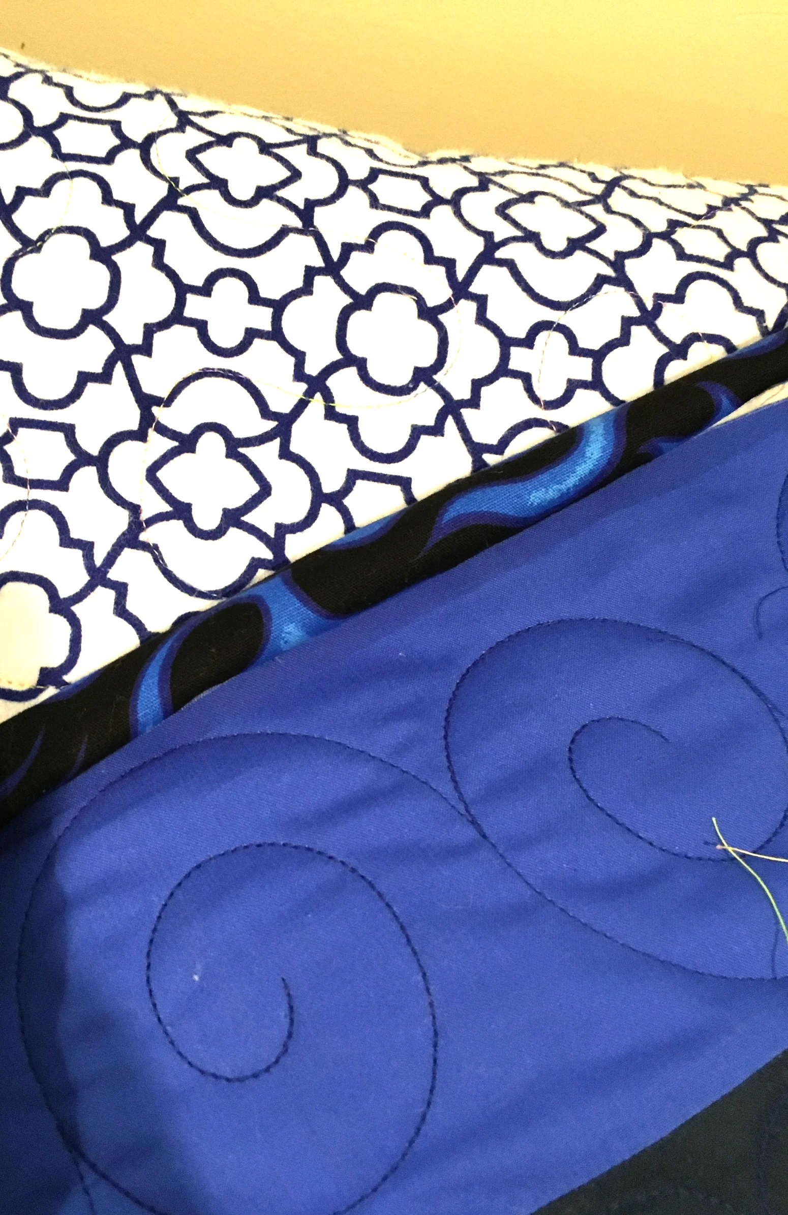 backing, border and binding matched by Ginny