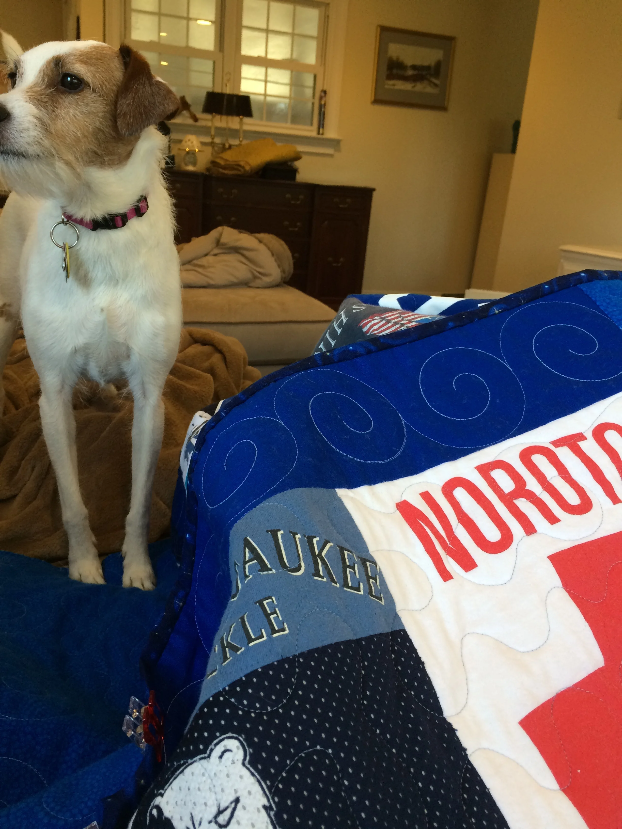 This quilt passes quality control
