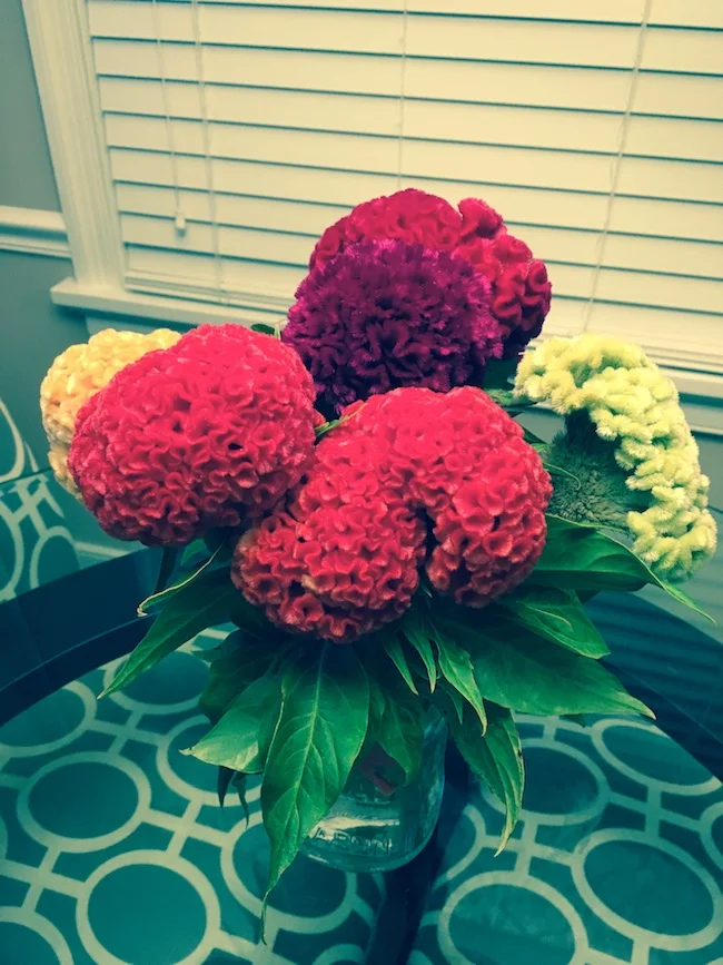 Flowers.jpg