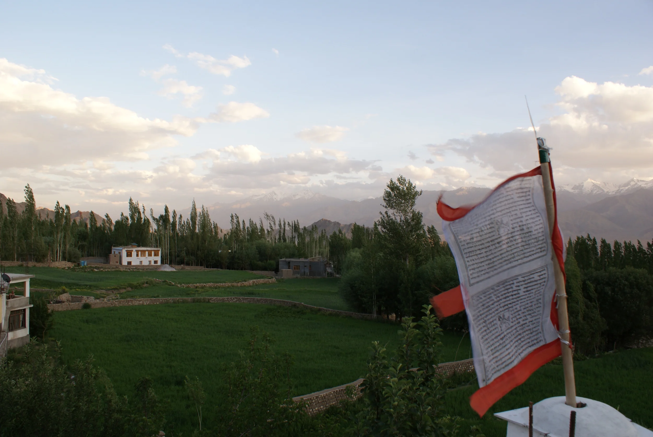 Greener view from the guest-house