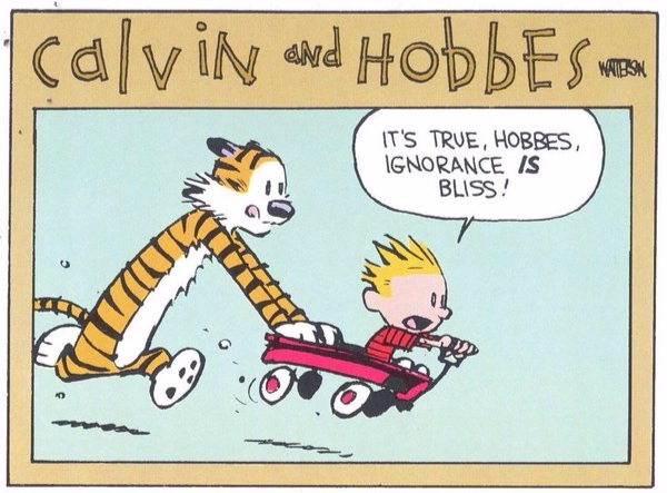 Calvin+Ignorance.jpg