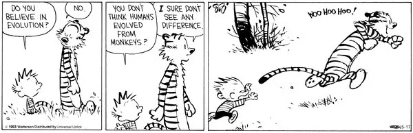 Calvin Monkey.jpg