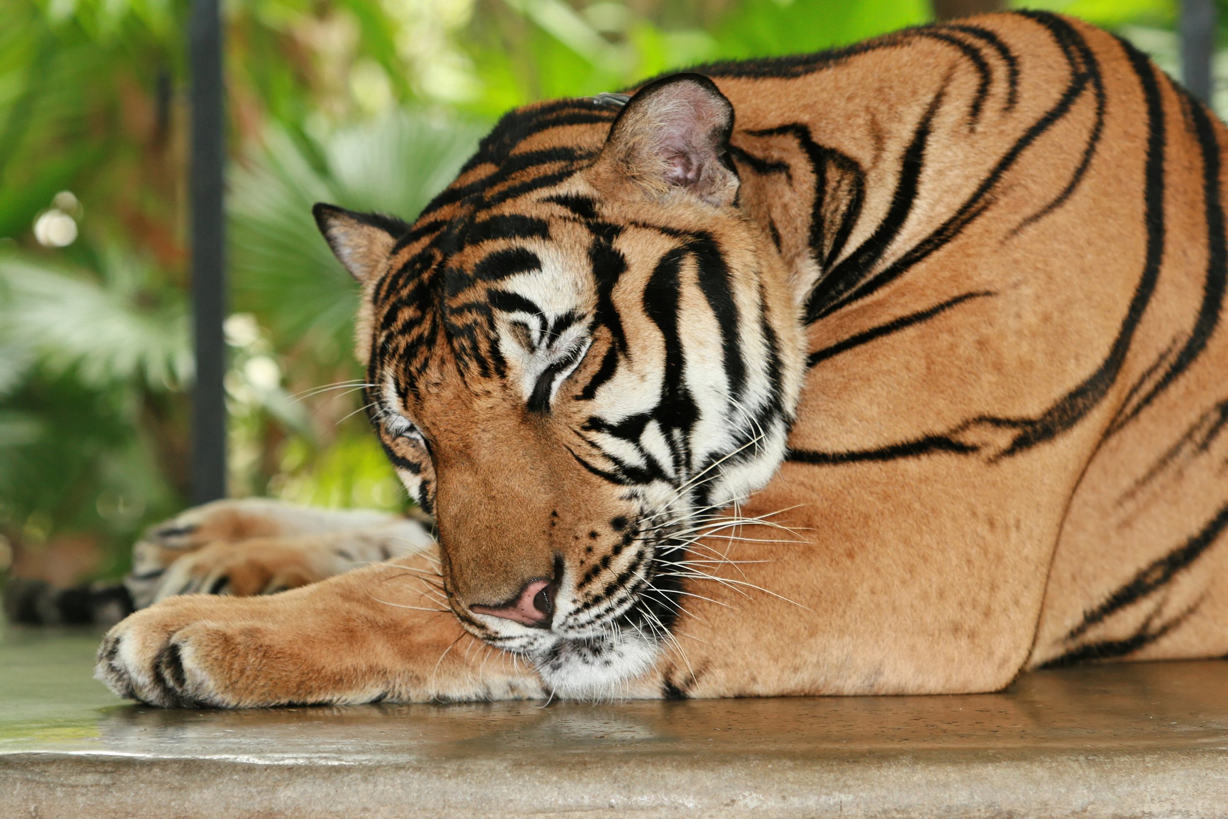 Sleep well so you are Awake better