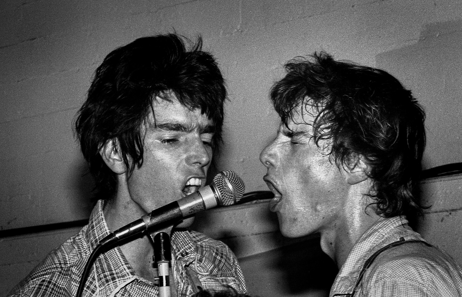 The Dils, San Francisco, CA, 1979