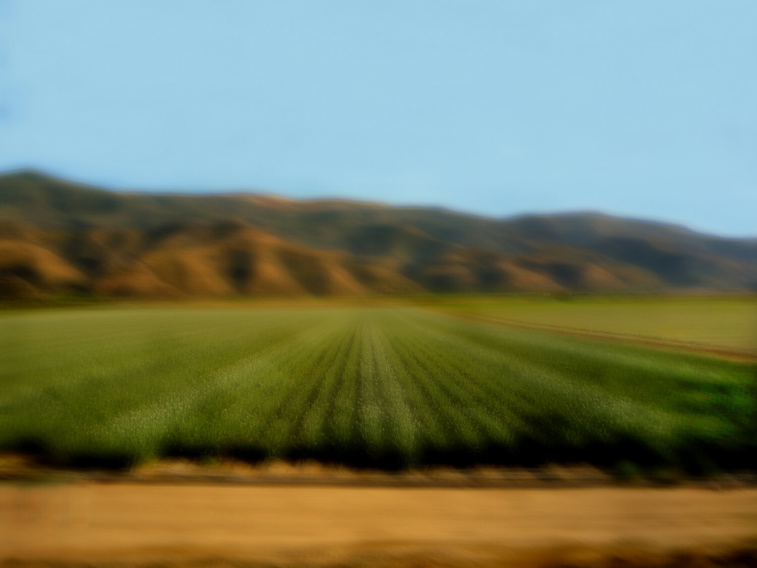 Piru Onion Field cropped.jpg