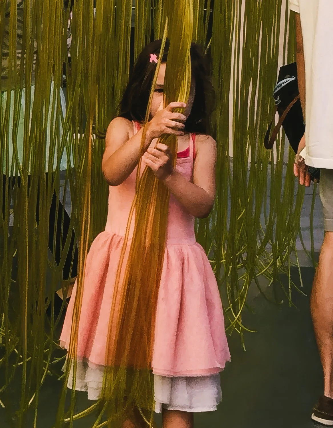 peripheries  pages11.jpg