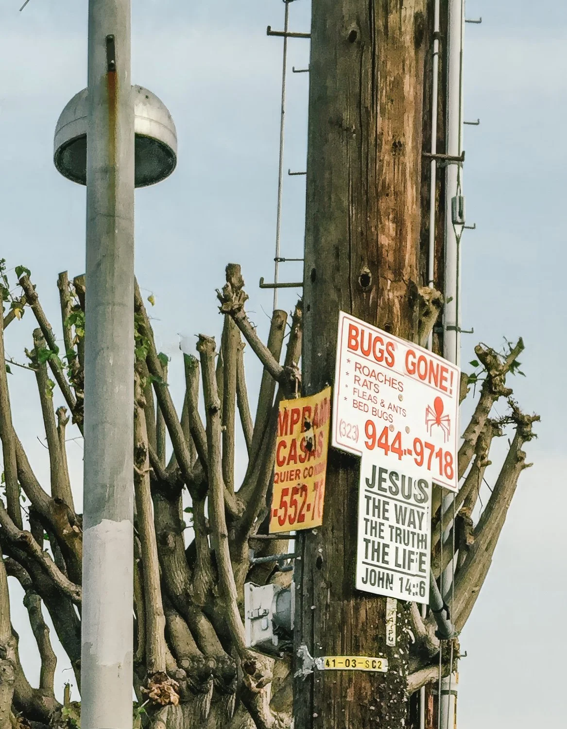 peripheries  pages38.jpg