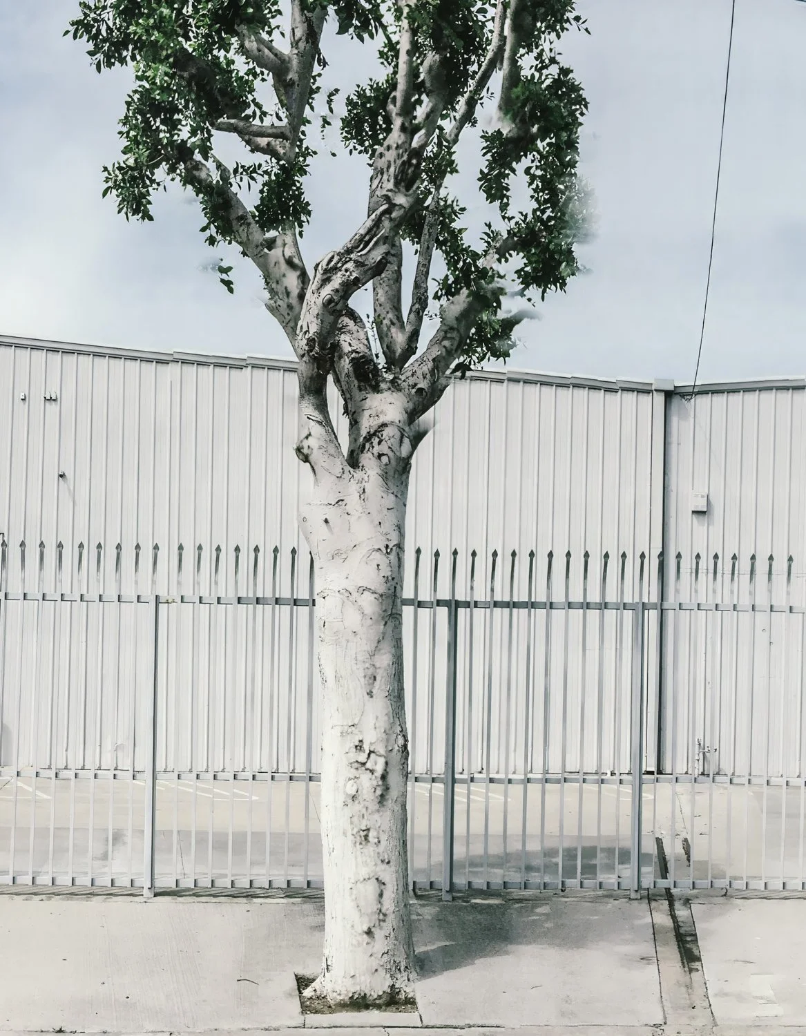 peripheries  pages60.jpg