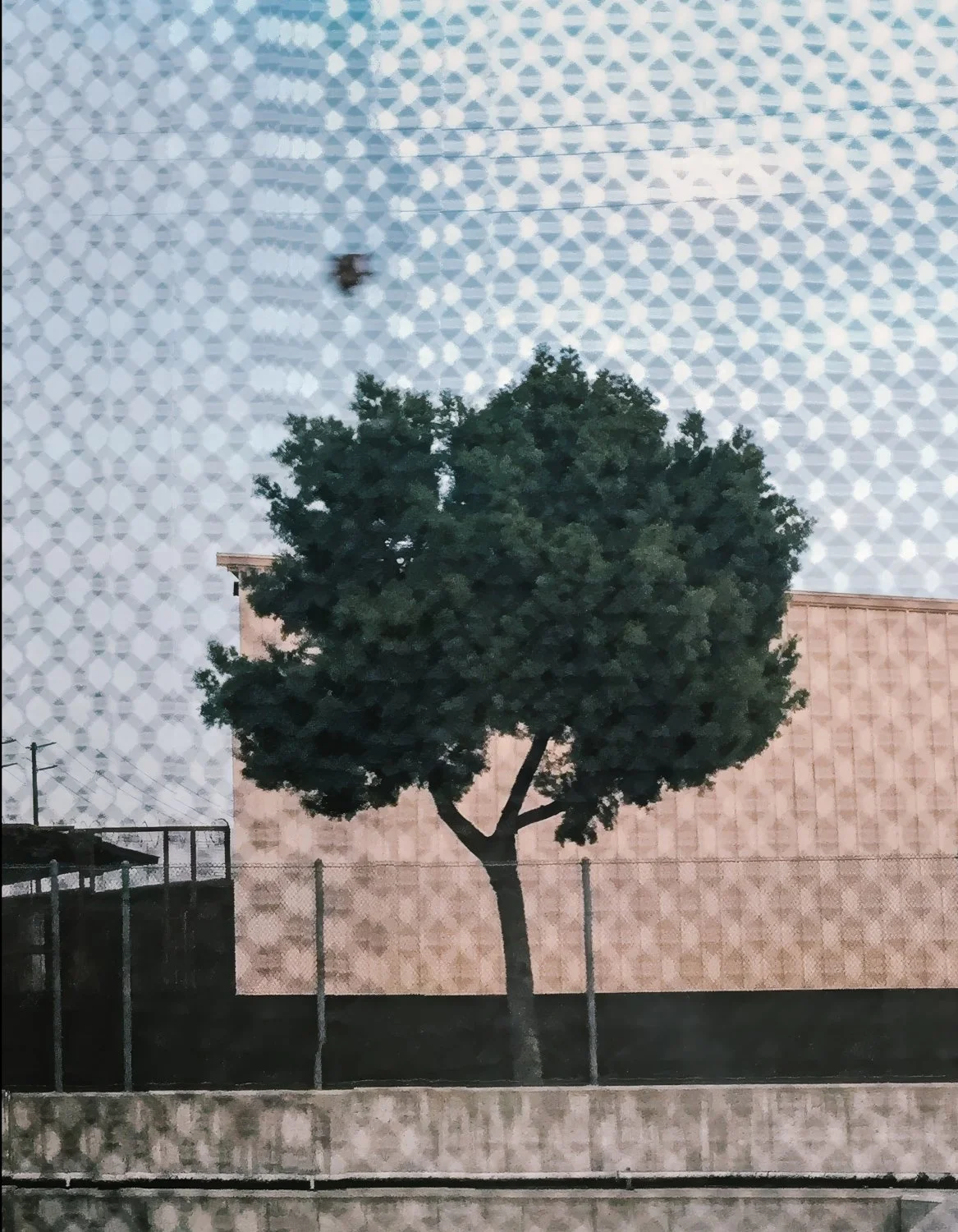 peripheries  pages79.jpg