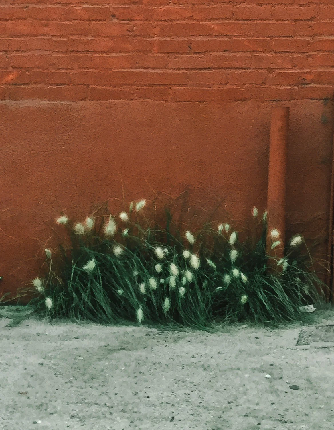 peripheries  pages89.jpg