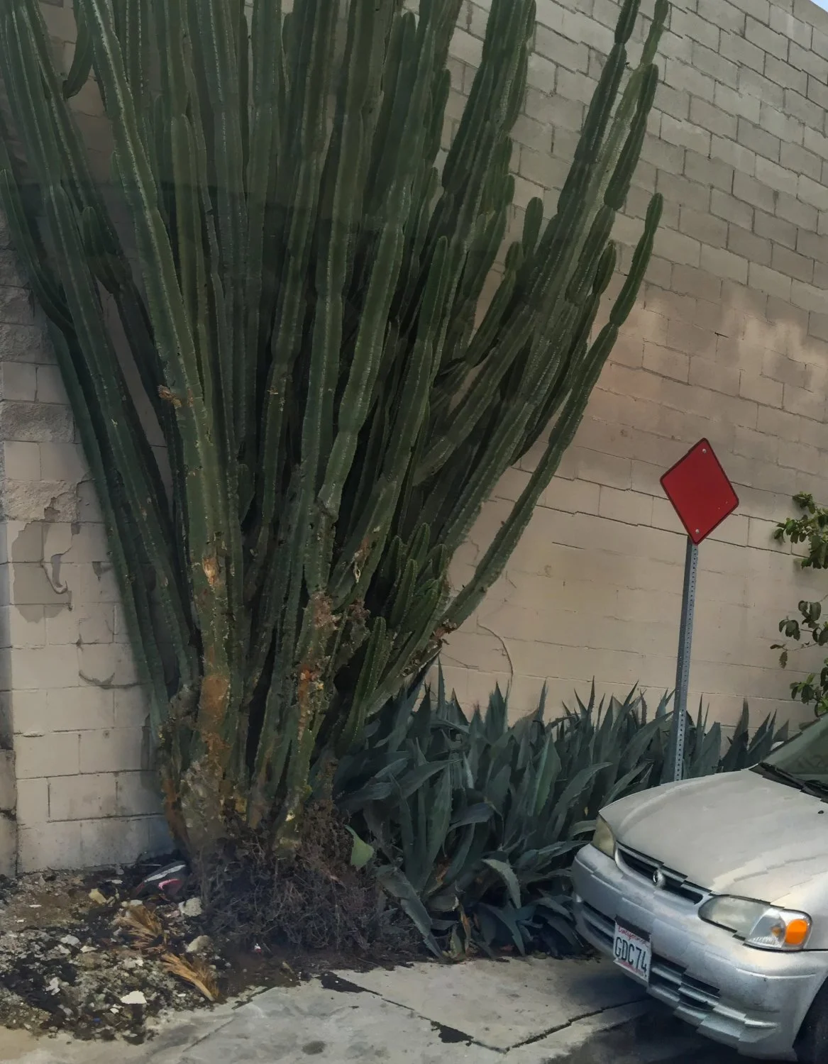 peripheries  pages95.jpg