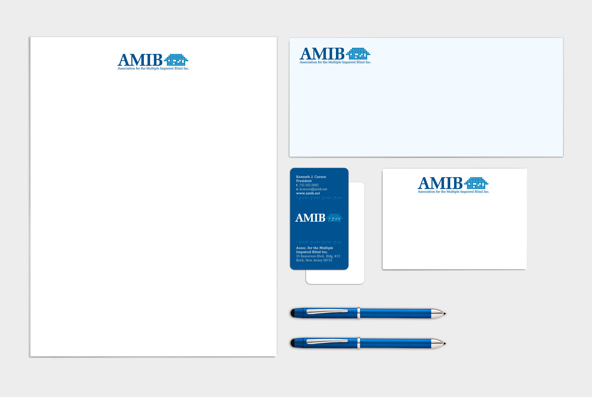AMIB2.png