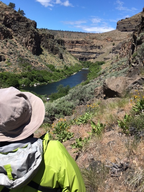 After we finally started moving again ... a view down the canyon at fading balsamroots and lots of sagebrush, thinleaf alders, mock-orange, elderberries, and more.