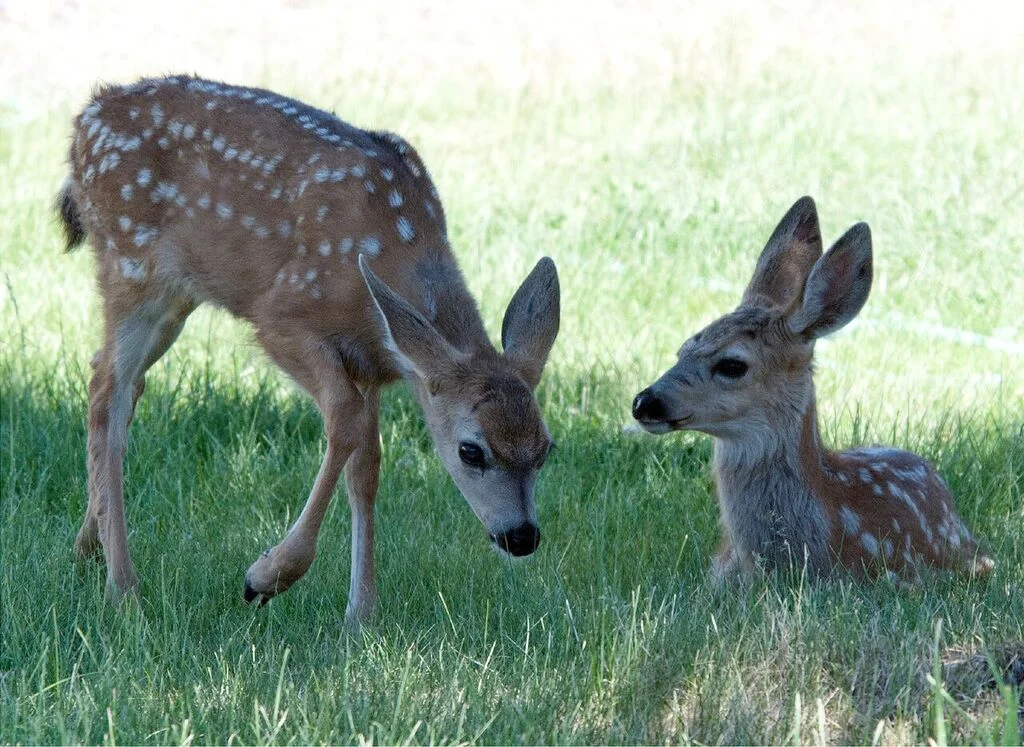 How can we create a future that works for them and us? Photo: Kevin Smith