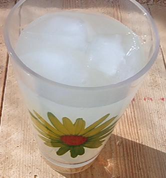 A cool lemonade is guaranteed to reduce your deer-related concerns. Photo: https://commons.wikimedia.org/wiki/File:LemonadeJuly2006.JPG