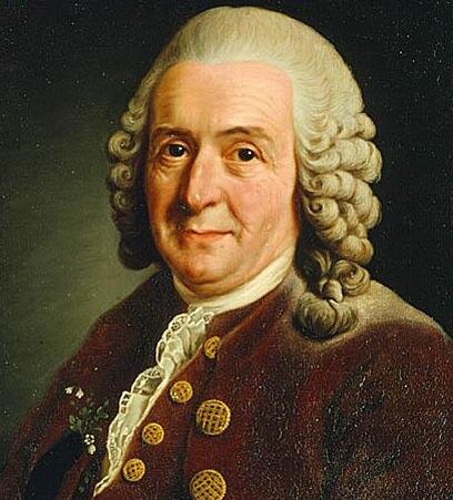Finding Relief with Linnaeus — The Nature of Books