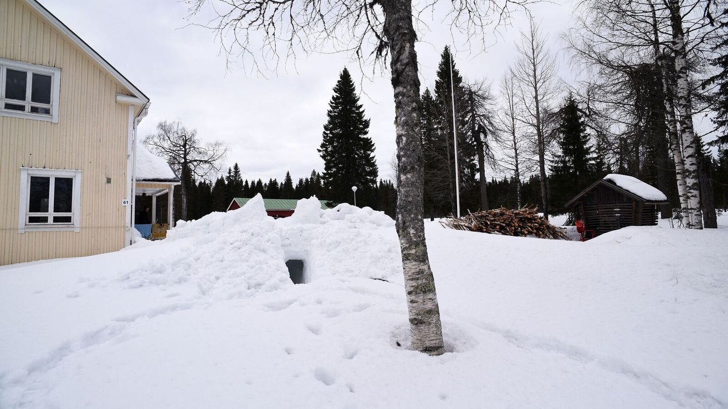 Dan McCabe | Hyrynsalmi