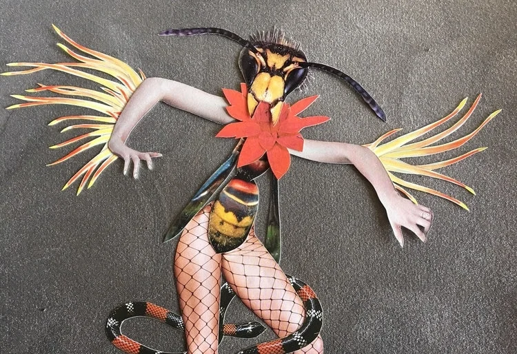 Deborah Kelly | Thy-Lejren