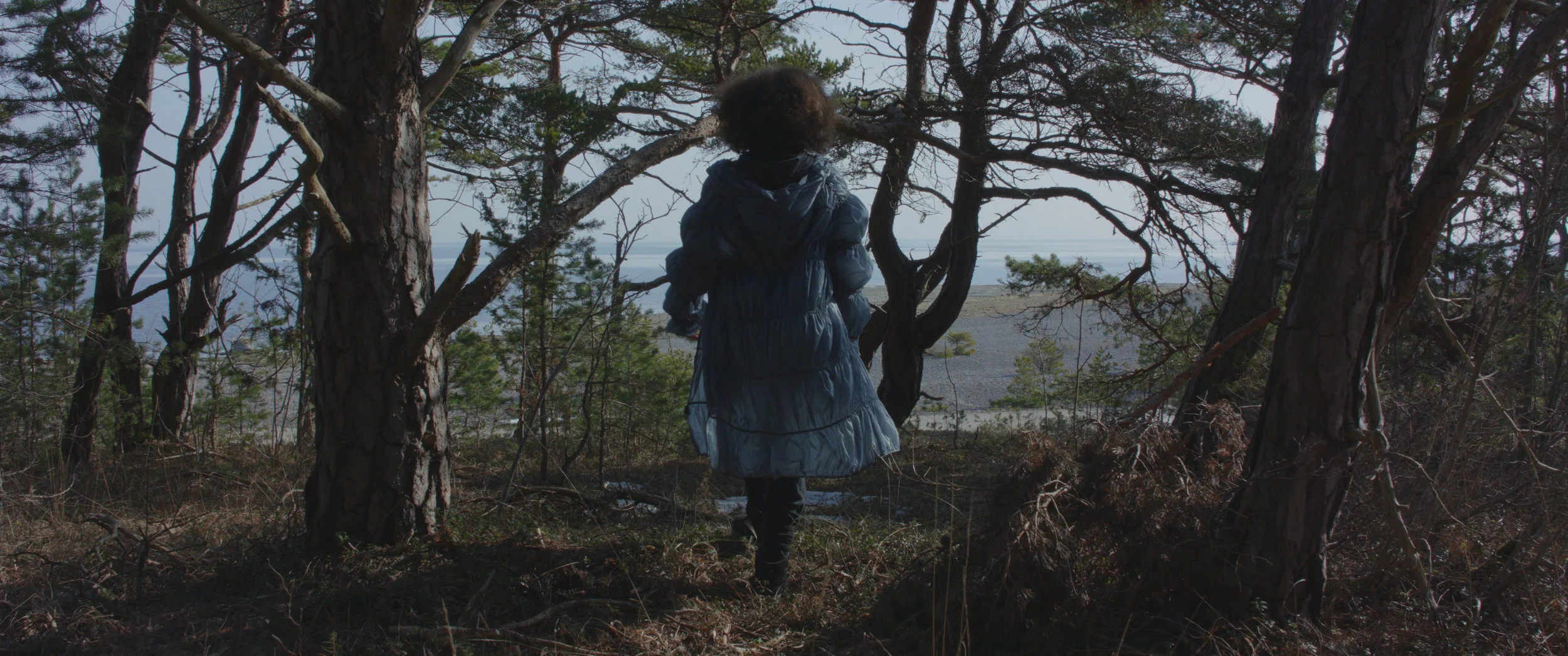 Sam Smith | Gotland Island