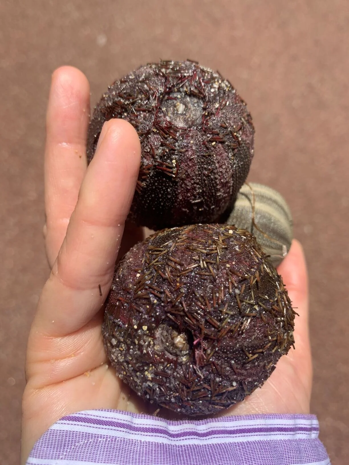 Photo 25-1-20, 12 36 27 pm.jpg