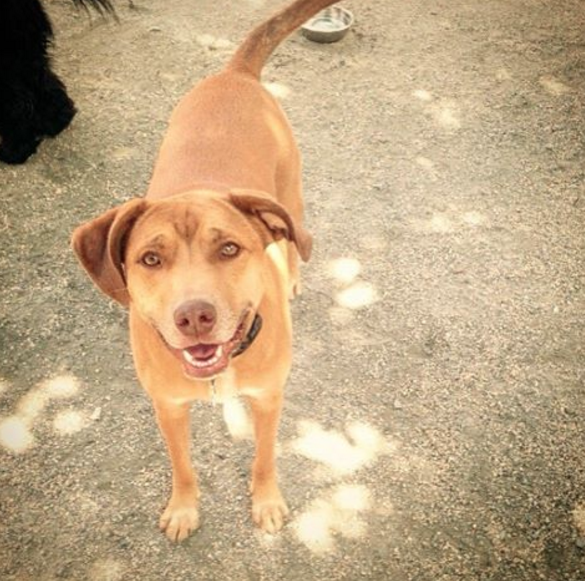 Screen Shot 2016-05-23 at 10.01.24 PM.png