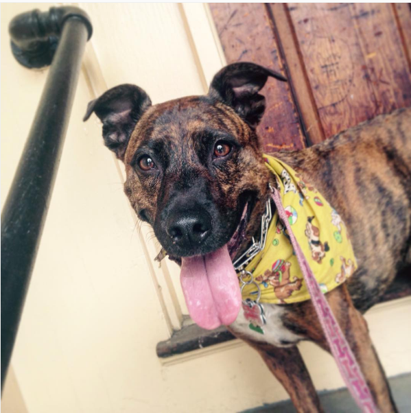 Screen Shot 2016-05-23 at 10.02.24 PM.png