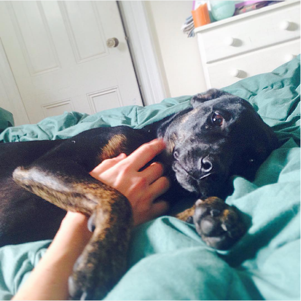 Screen Shot 2016-05-23 at 10.02.32 PM.png