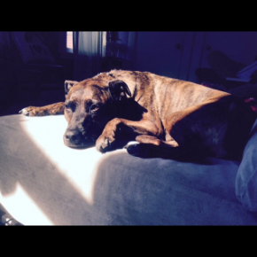 Screen Shot 2016-05-23 at 10.07.53 PM.png