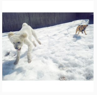 Screen Shot 2016-05-23 at 10.08.32 PM.png