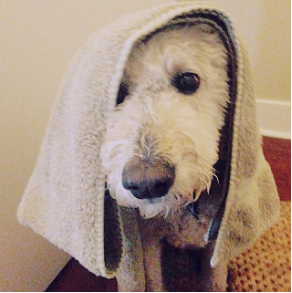 Screen Shot 2016-05-23 at 10.10.54 PM.png