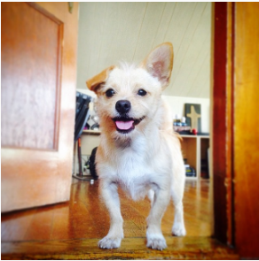 Screen Shot 2016-05-23 at 10.10.30 PM.png