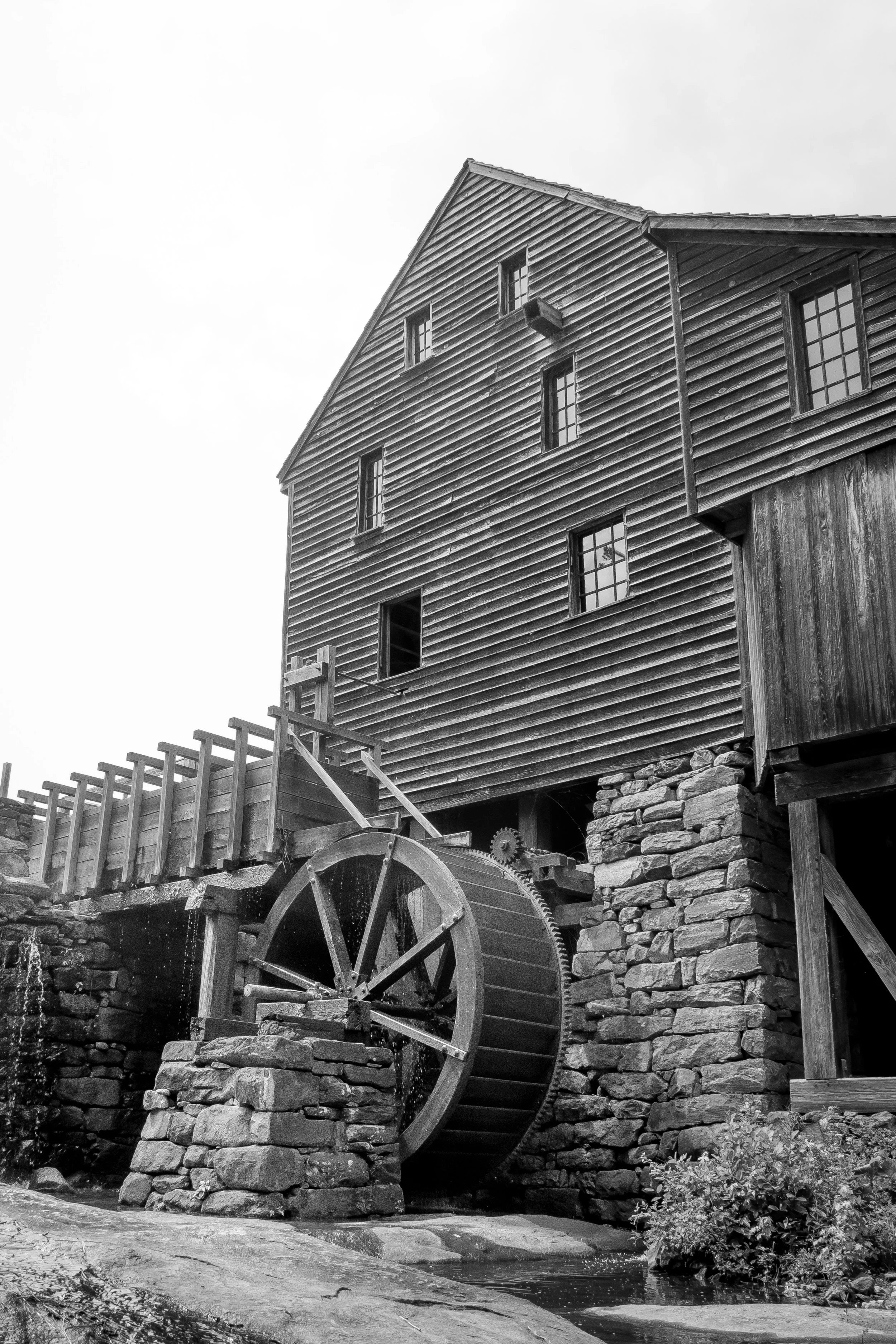 2019_06_01 - Yates Mill-4.jpg