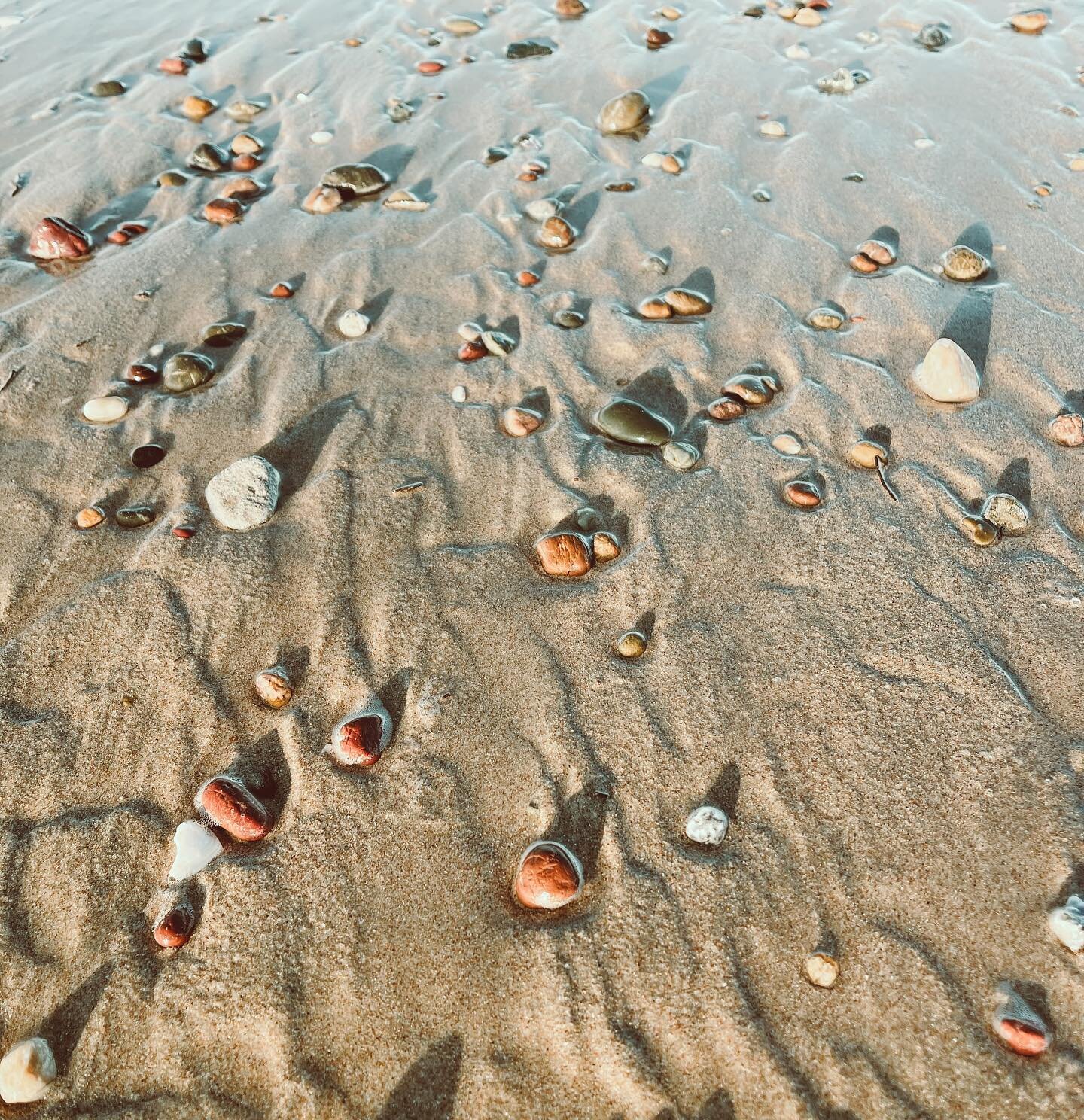 Stunning tumbled ocean rocks 😍🧡
#rainbowbeach