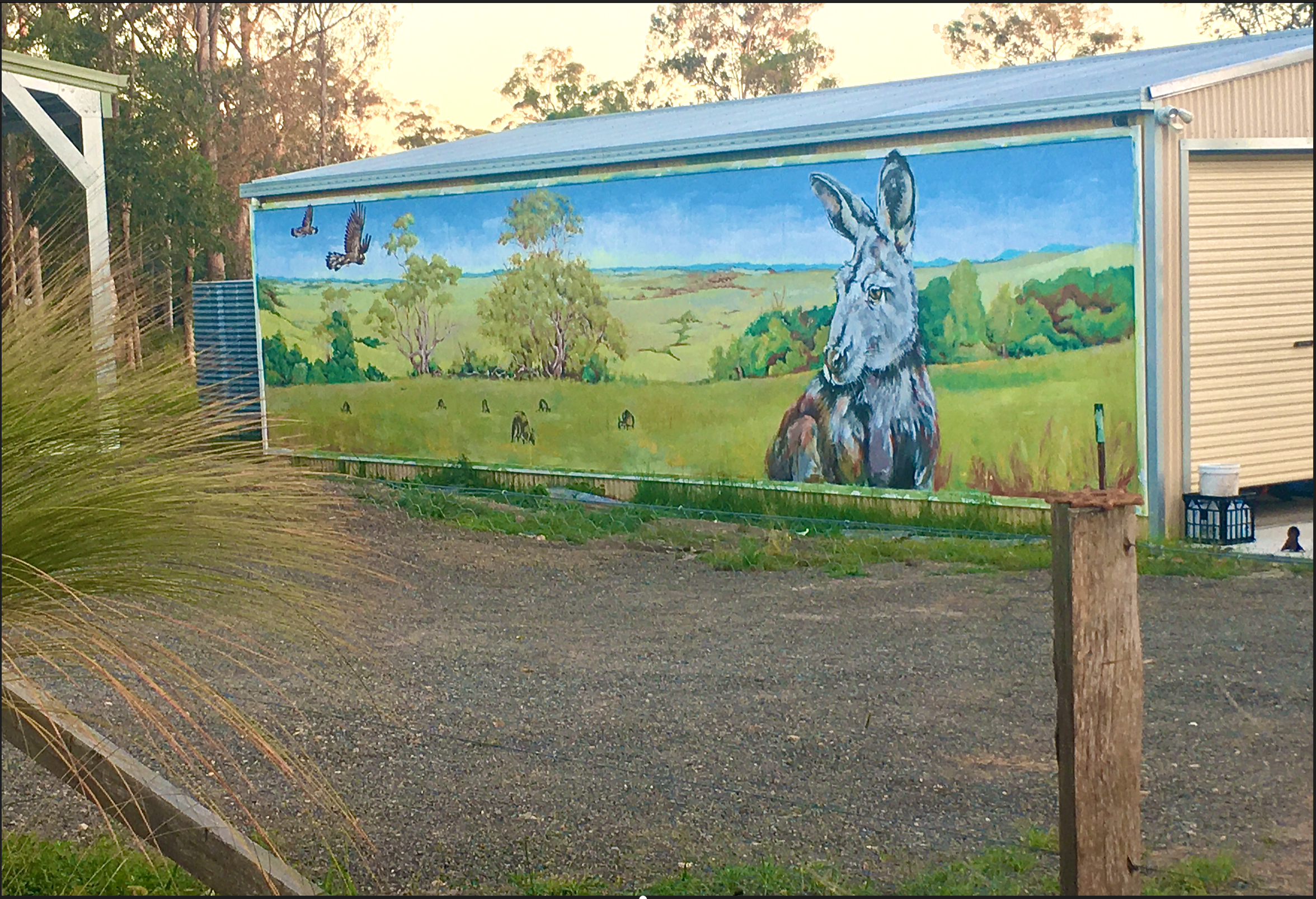 Screen Shot 2023-01-19 at 11.36.26 am.png