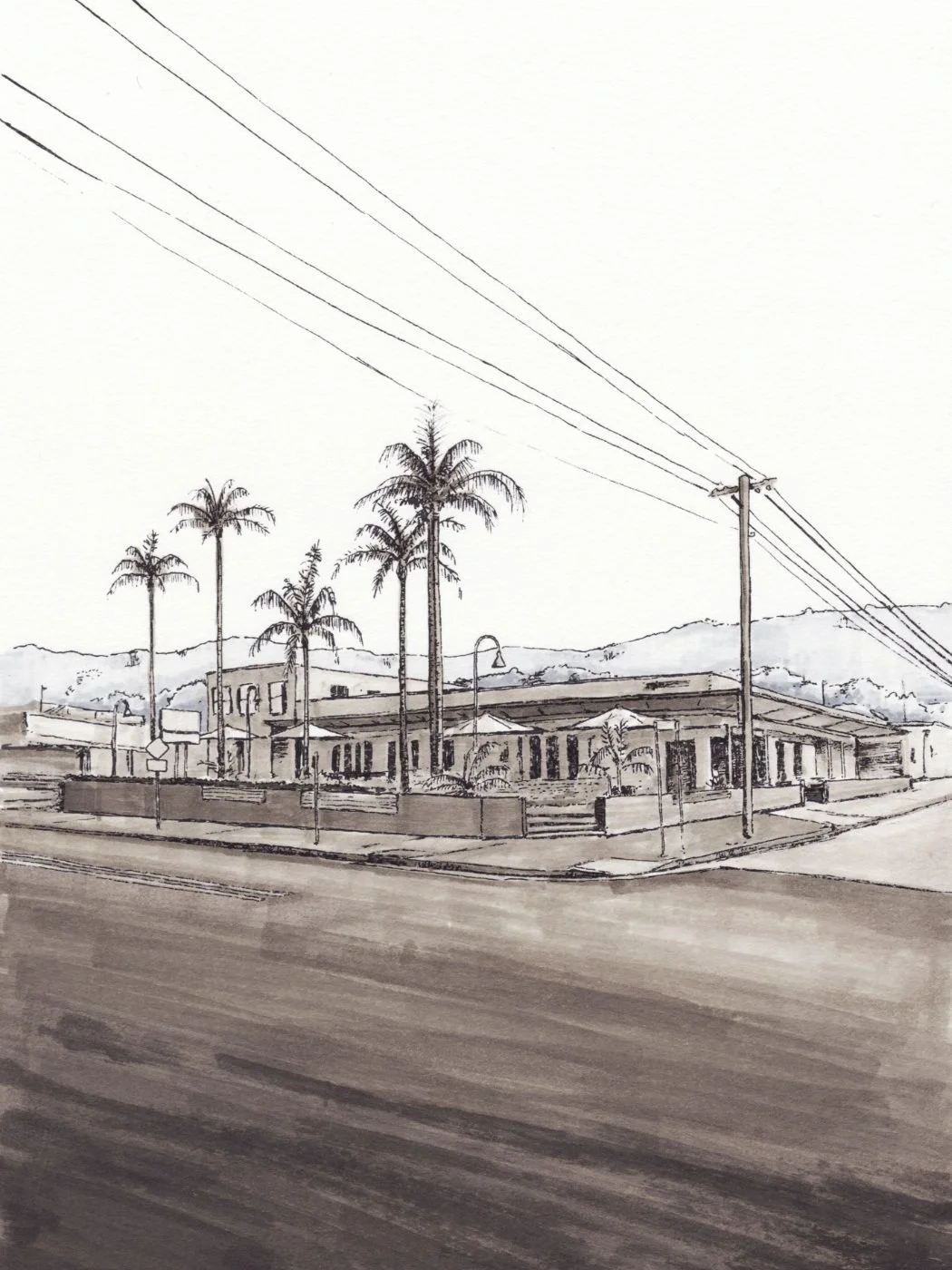 image-asset.jpg
