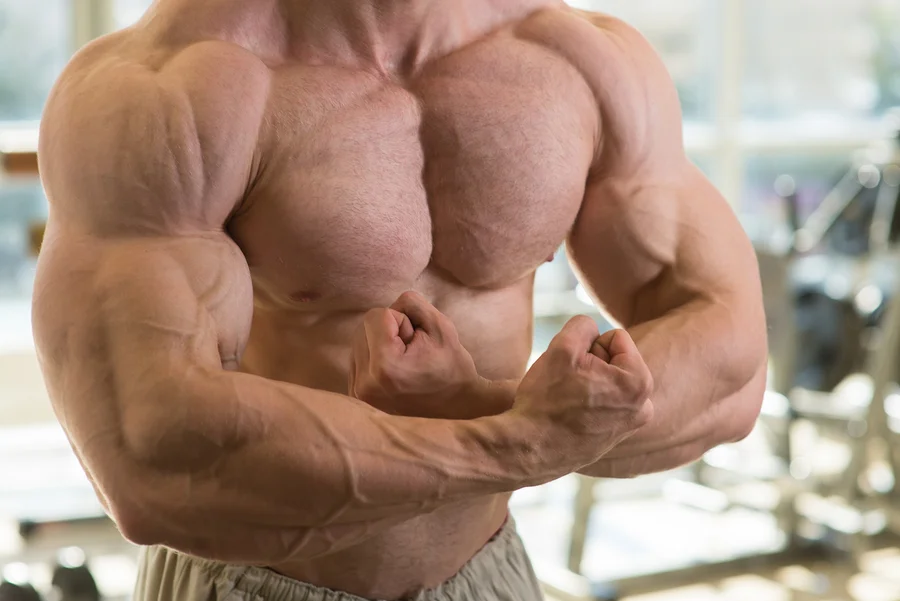 Chest Day! Be Preppared for the Pump!