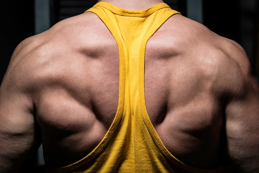 5 Exercises for a Ripped Back